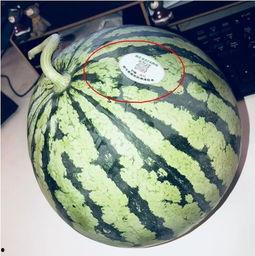 铜仁网红吃瓜,揭秘网络舆论背后的真相