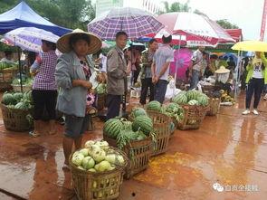 五八吃瓜群众网,揭秘网络舆论场中的“吃瓜群众”现象