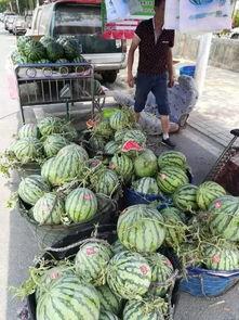 廊坊吃瓜事件网红,网红引爆网络热议