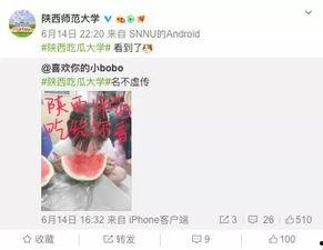 高校吃瓜爆料,揭秘校园吃瓜爆料背后的真相