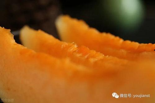 认真吃瓜网红图片高清,高清还原瓜界风云