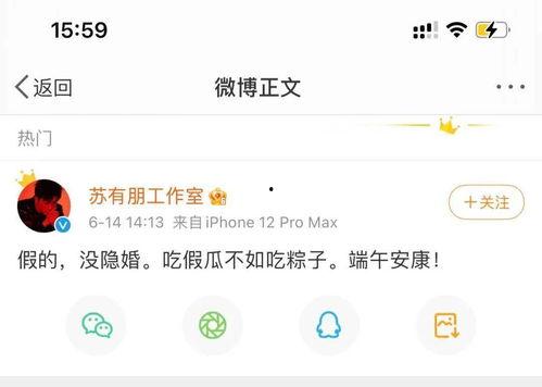 只吃瓜不评论网曝,网曝现象背后的真相